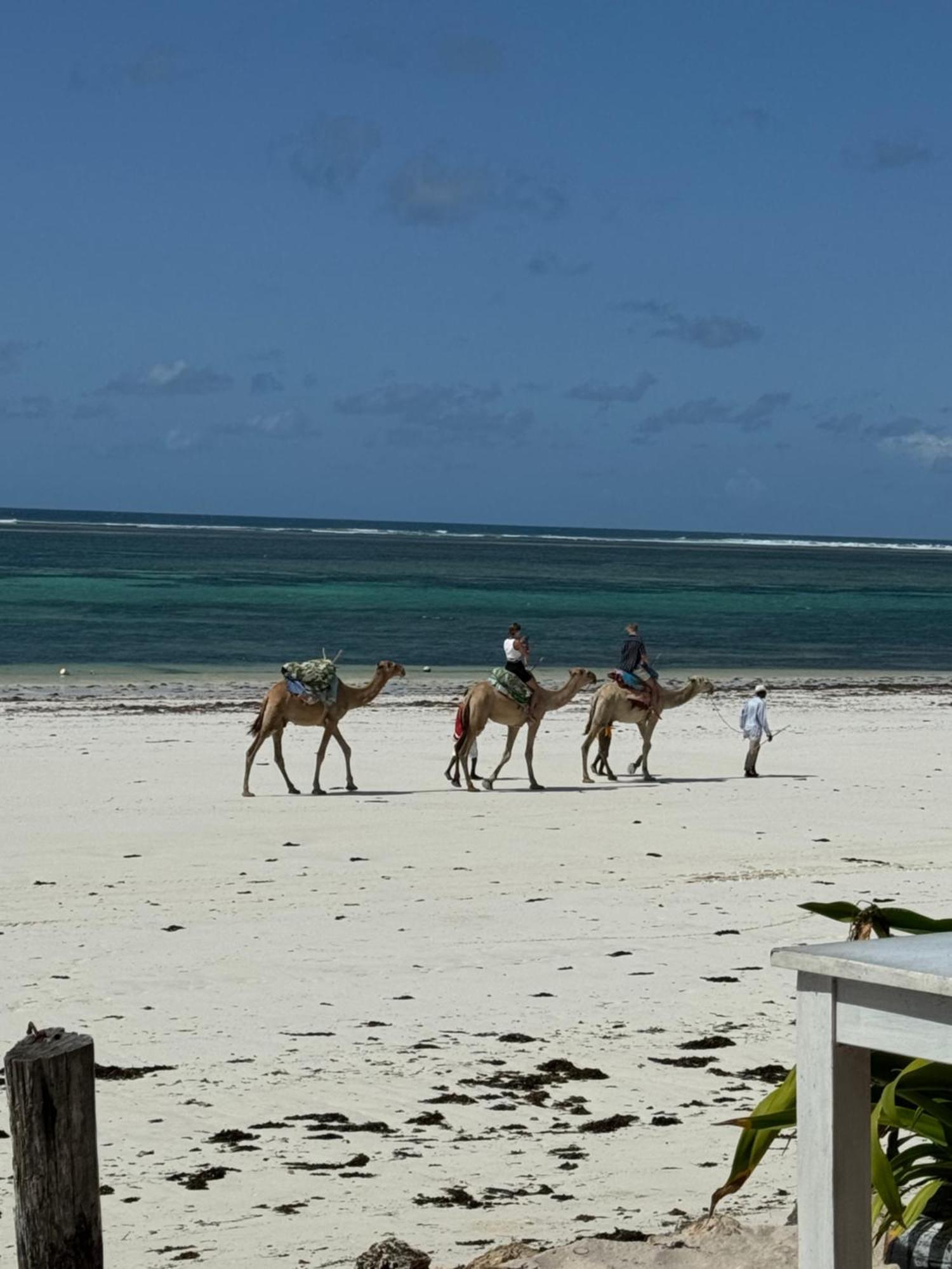 Ocean Paradise Beach Apartment Galu Bagian luar foto